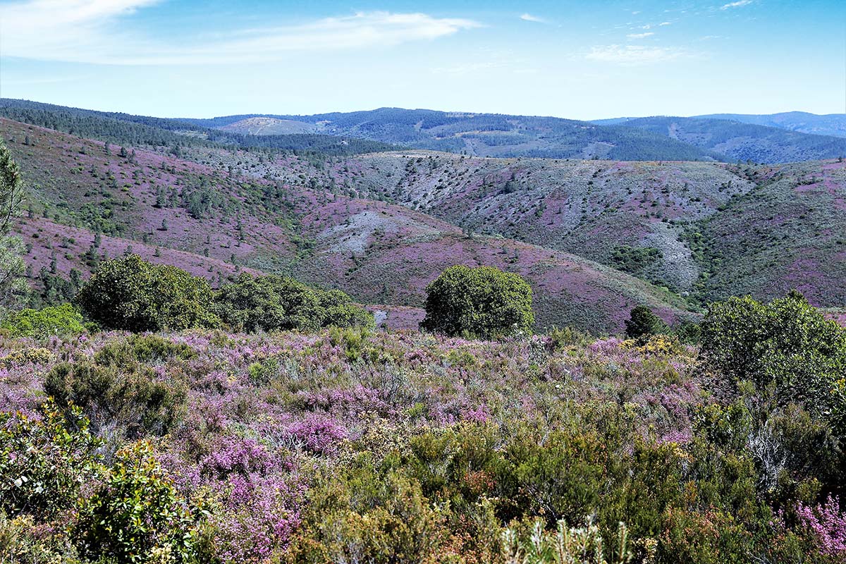 Reserva Natural Serra Malcata9